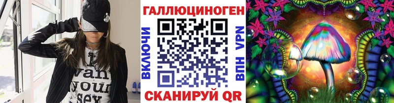 Псилоцибиновые грибы Psilocybe Славск