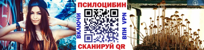 Псилоцибиновые грибы мицелий  Славск 